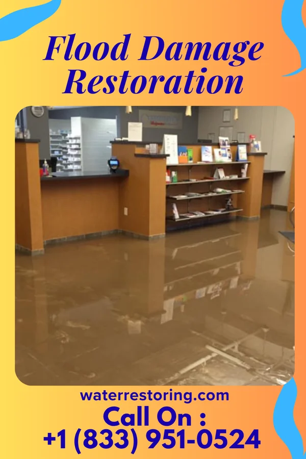 Flood Damage Restoration in El Rancho, NM